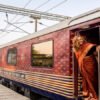 Experience India’s most luxurious train – Maharaja Express!