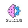 Sulcus Learning