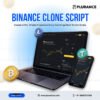 Binance Clone Script – Build a Competitive, Investor-Ready  Exchange