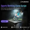 Stop Delaying Your Launch – Use Our Sports Betting Clone Script Today