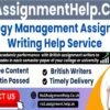 Strategy Management Assignment Help -No1AssignmentHelp.Co.UK