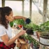 Tips for Gardening at Home to Grow Healthy Plants Naturally