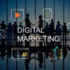 Professional Digital Marketing Services in Jaipur