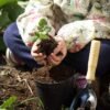 Home Gardening Tips for Beginners – Start Growing with Confidence