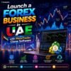 Launch a Forex Business in UAE with MetaTrader Clone Software