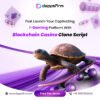 Crypto Casino Clone Script for Entrepreneurs Ready to Disrupt iGaming