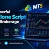 Get a Powerful MT5 Clone Script for Your Brokerage