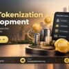 RWA Tokenization Development for Real-World Asset Businesses