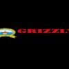 Grizzly Vidyalaya